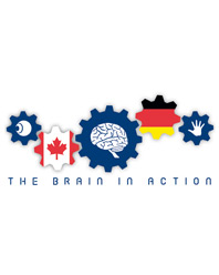 The Brain in Action The Brain in Action